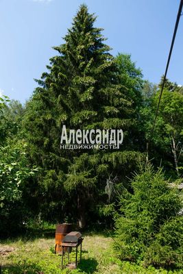 Продам участок 6 соток, СНТ, поселок Импульс, 1-я Садовая левая сторона (Импульс тер. ул, 588, ст Назия массив, 80 км от города