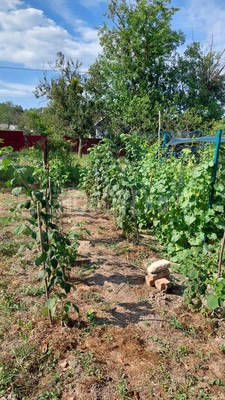 Продам дом, Чернышевского ул, 12, Хадыженск г, 0 км от города