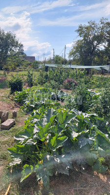 Продам дом, Чернышевского ул, 12, Хадыженск г, 0 км от города