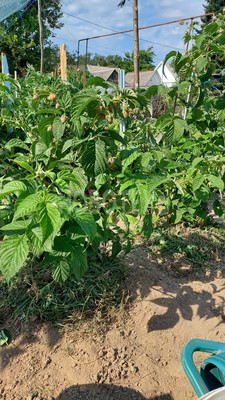 Продам дом, Чернышевского ул, 12, Хадыженск г, 0 км от города