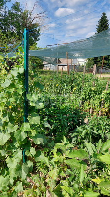 Продам дом, Чернышевского ул, 12, Хадыженск г, 0 км от города