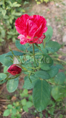 Продам дом, Чернышевского ул, 12, Хадыженск г, 0 км от города