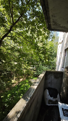 Продам комнату в 2-комн. квартире, Адмирала Кузнецова (Купавна мкр.) ул, 4, Балашиха г