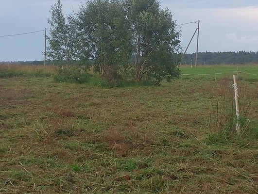 Продам участок 10,87 соток, ИЖС, Жабино д, 0 км от города