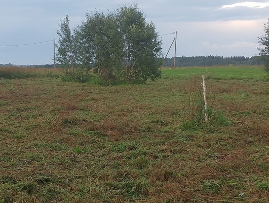Продам участок 10,87 соток, ИЖС, Жабино д, 0 км от города