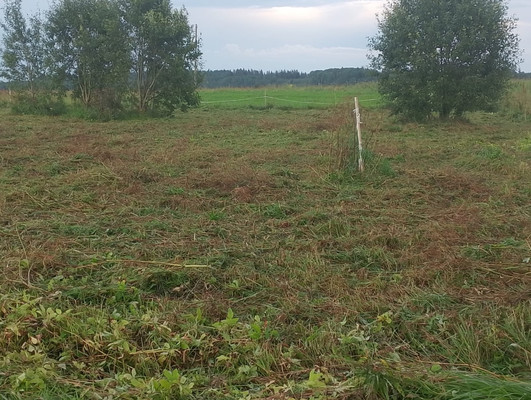 Продам участок 10,87 соток, ИЖС, Жабино д, 0 км от города