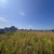 Продам участок 16,7 соток, ИЖС, Солнечная ул, 2, Богословское с, 0 км от города