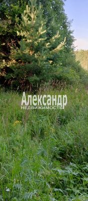 Продам участок 9,6 соток, ИЖС, Кузнечное гп, 150 км от города