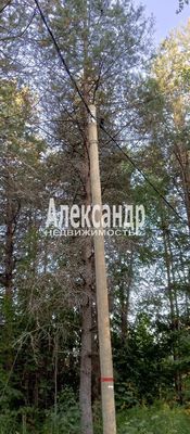 Продам участок 9,6 соток, ИЖС, Кузнечное гп, 150 км от города