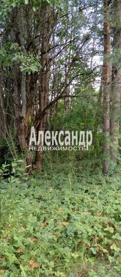 Продам участок 9,6 соток, ИЖС, Кузнечное гп, 150 км от города