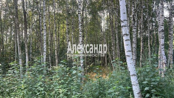 Продам участок 6,7 соток, Садоводство, Изыскатель тер. СНТ, 35 км от города