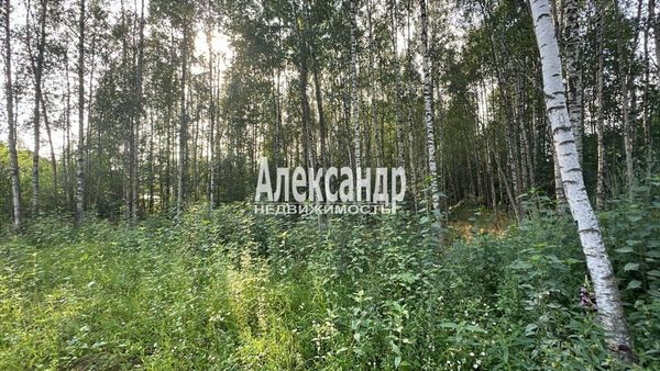 Продам участок 6,7 соток, Садоводство, Изыскатель тер. СНТ, 35 км от города