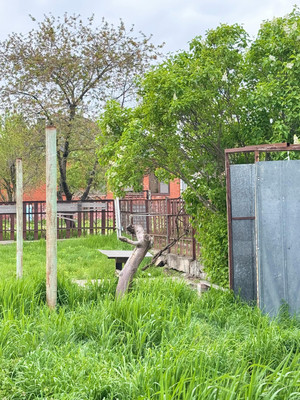 Продам дом, Шапсугская ул, 14, Баксан г, 0 км от города