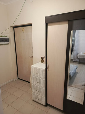 Продам однокомнатную (1-комн.) квартиру, Пригородное (Пригород Лесное мкр.) ш, 7, Мисайлово д