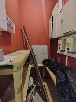 Сдам торговое помещение 190 м2, Пионерская ул, 1, Кировск г