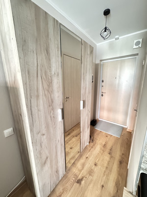 Сдам однокомнатную (1-комн.) квартиру, Толубеевский проезд, 8к1, Парголово п