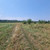 Продам участок 6 соток, ИЖС, Атажукина ул, Нальчик г, 0 км от города