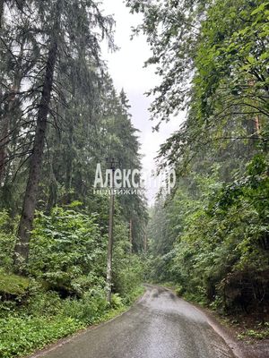 Продам дом, Кавголовский пер, 13А, Токсово гп, 13 км от города