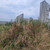 Продам землю для коммерческого использования 10 соток, Шогенова ул, 50, Нальчик г