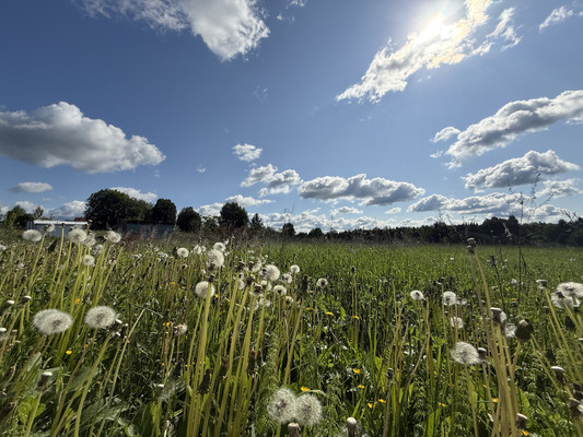 Продам участок 13 соток, ИЖС, Полевая ул, Маурино д, 0 км от города
