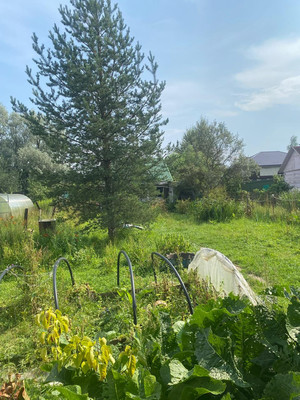 Продам участок 6 соток, ИЖС, Привокзальная ул, 9, Александровская п, 0 км от города