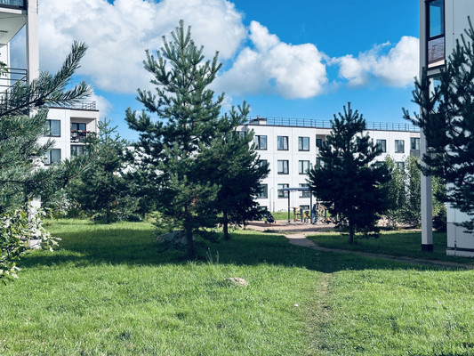 Продам однокомнатную (1-комн.) квартиру, Ветеранов ул, 1, Вартемяги д