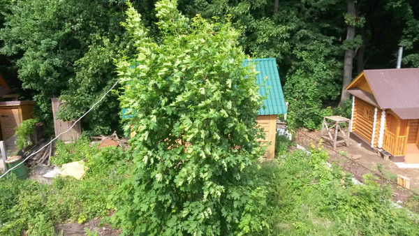 Продам дачу, Тукая ул, Набережные Моркваши с, 0 км от города