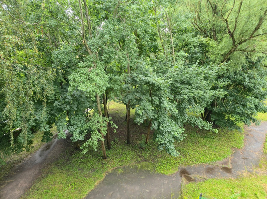 Продам двухкомнатную (2-комн.) квартиру, Лужская ул, 7, Калининград г
