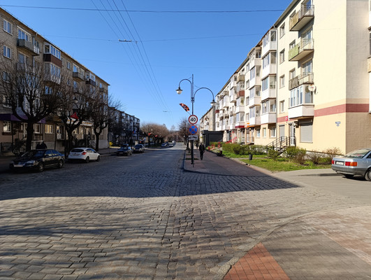 Продам землю для коммерческого использования 57,9 соток, Садоводство, Ленина ул, 5Б, Черняховск г