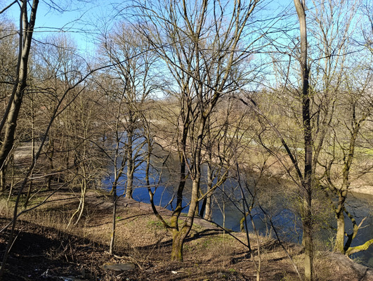 Продам землю для коммерческого использования 57,9 соток, Садоводство, Ленина ул, 5Б, Черняховск г