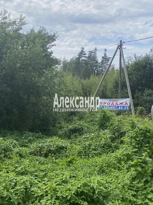 Продам участок 25 соток, ИЖС, Красное п, 100 км от города