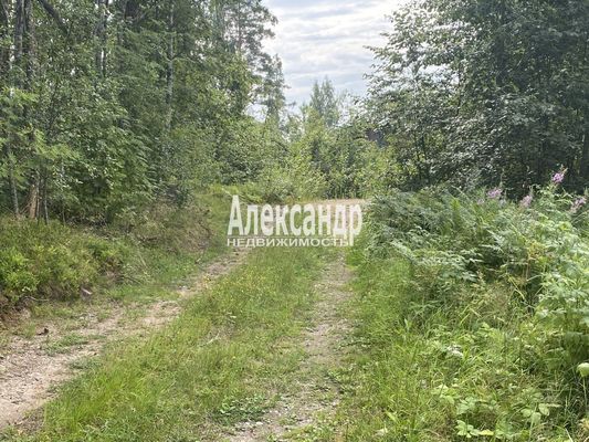 Продам участок 25 соток, ИЖС, Красное п, 100 км от города