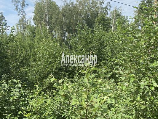 Продам участок 25 соток, ИЖС, Красное п, 100 км от города