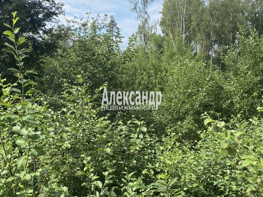 Продам участок 25 соток, ИЖС, Красное п, 100 км от города