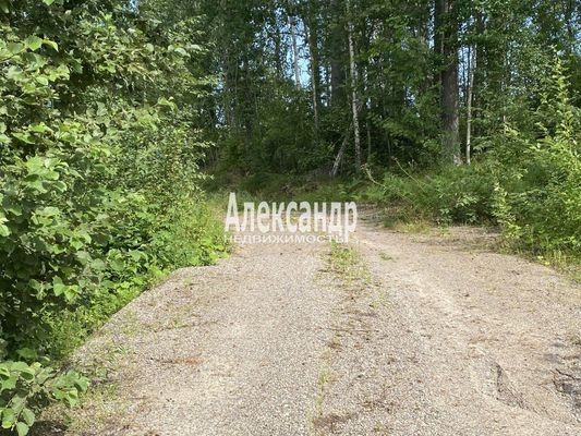 Продам участок 25 соток, ИЖС, Красное п, 100 км от города