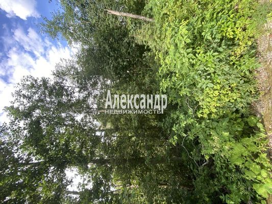 Продам участок 25 соток, ИЖС, Красное п, 100 км от города