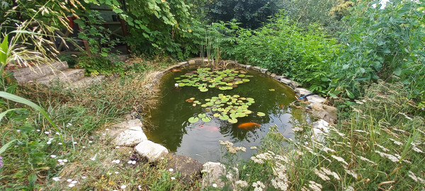 Продам дом, 16, Холодный Родник с, 0 км от города