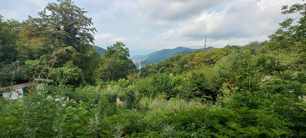 Продам дом, 16, Холодный Родник с, 0 км от города