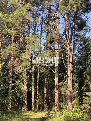 Продам дом в поселке &amp;quot;Поляна&amp;quot;, Поляна снт, Массив Бригадное дп, 150 км от города