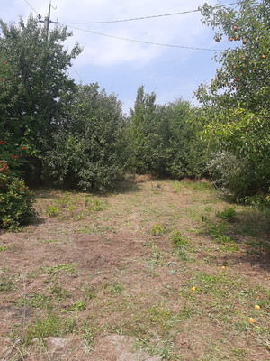 Продам дом, Волгодонской Садовод тер. СНТ, 1а, Волгодонск г, 0 км от города