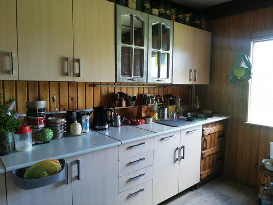 Продам дом, Центральная ул, 20, Голоперово с, 0 км от города