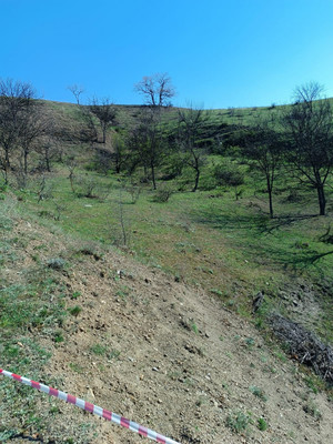 Продам участок 15 соток, ИЖС, Фросинлер ул, 46, Приветное с, 0 км от города