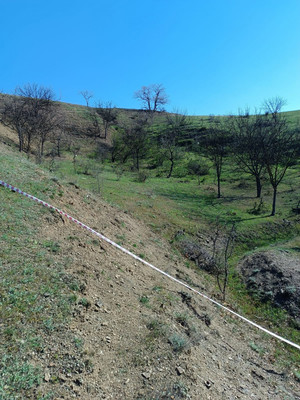 Продам участок 15 соток, ИЖС, Фросинлер ул, 46, Приветное с, 0 км от города