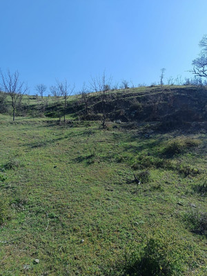 Продам участок 15 соток, ИЖС, Фросинлер ул, 46, Приветное с, 0 км от города