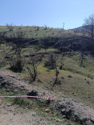 Продам участок 15 соток, ИЖС, Фросинлер ул, 46, Приветное с, 0 км от города