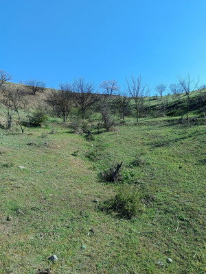 Продам участок 15 соток, ИЖС, Фросинлер ул, 46, Приветное с, 0 км от города