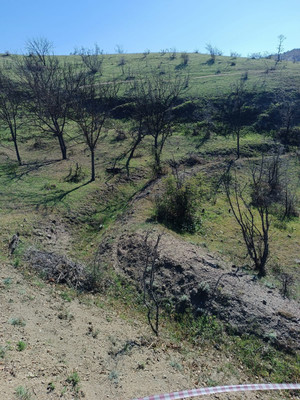 Продам участок 15 соток, ИЖС, Фросинлер ул, 46, Приветное с, 0 км от города