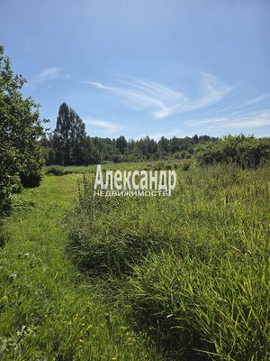 Продам участок 18 соток, ЛПХ, Потанино д, 156 км от города