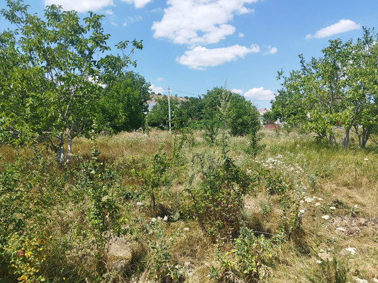 Продам участок 10 соток, Фермерское хоз., Петровские скалы тер. ТСН, 0 км от города