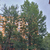 Продам трехкомнатную (3-комн.) квартиру, Бирюлёвская ул, 18к2, Москва г